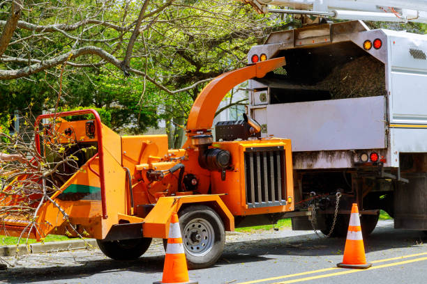 Reliable Old Town, ME  Tree Services Solutions